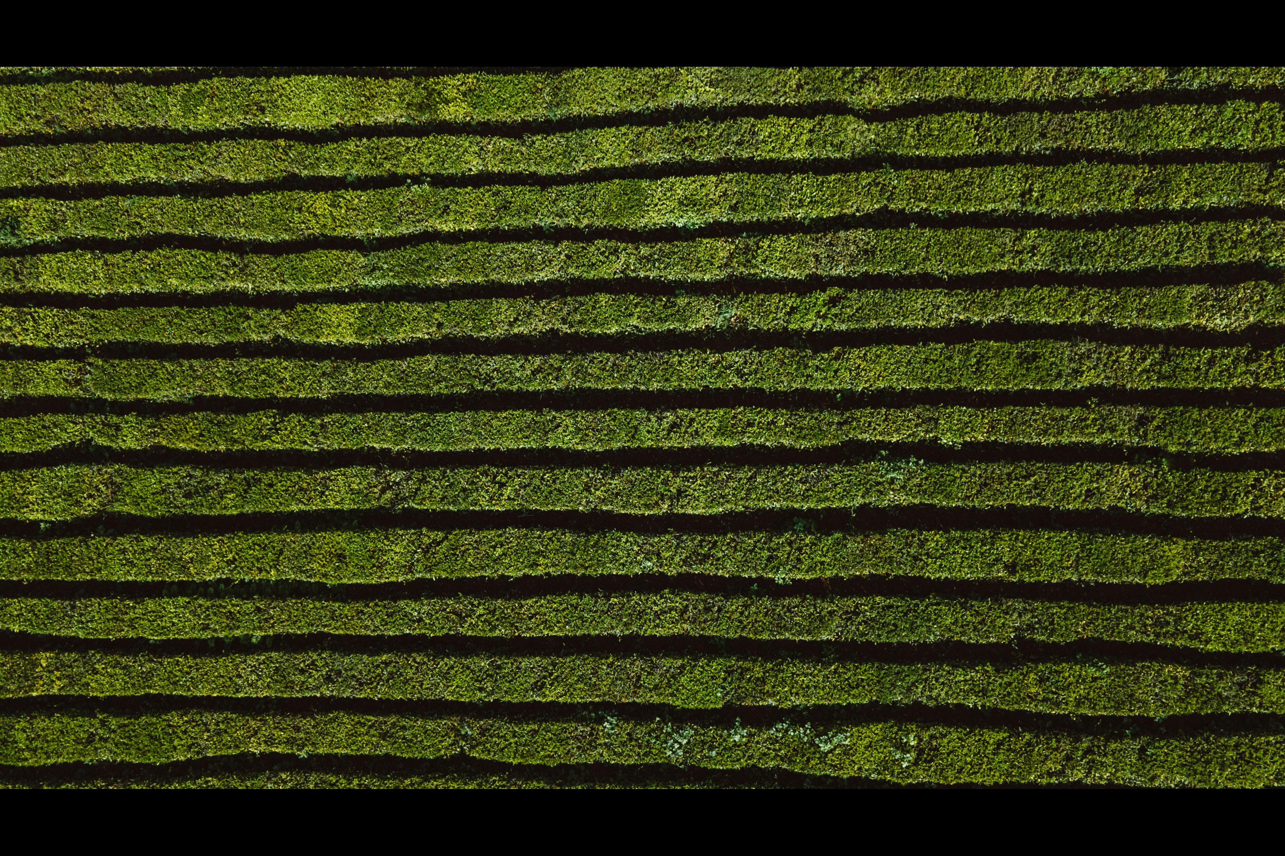 slide01